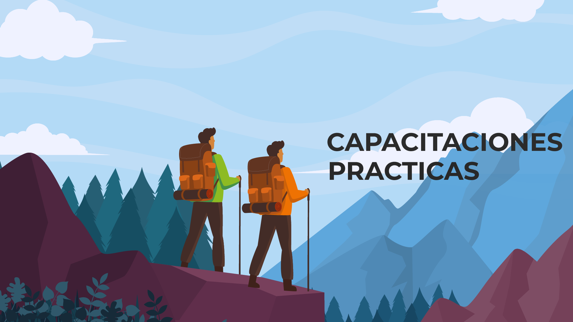 Capacitaciones practicas